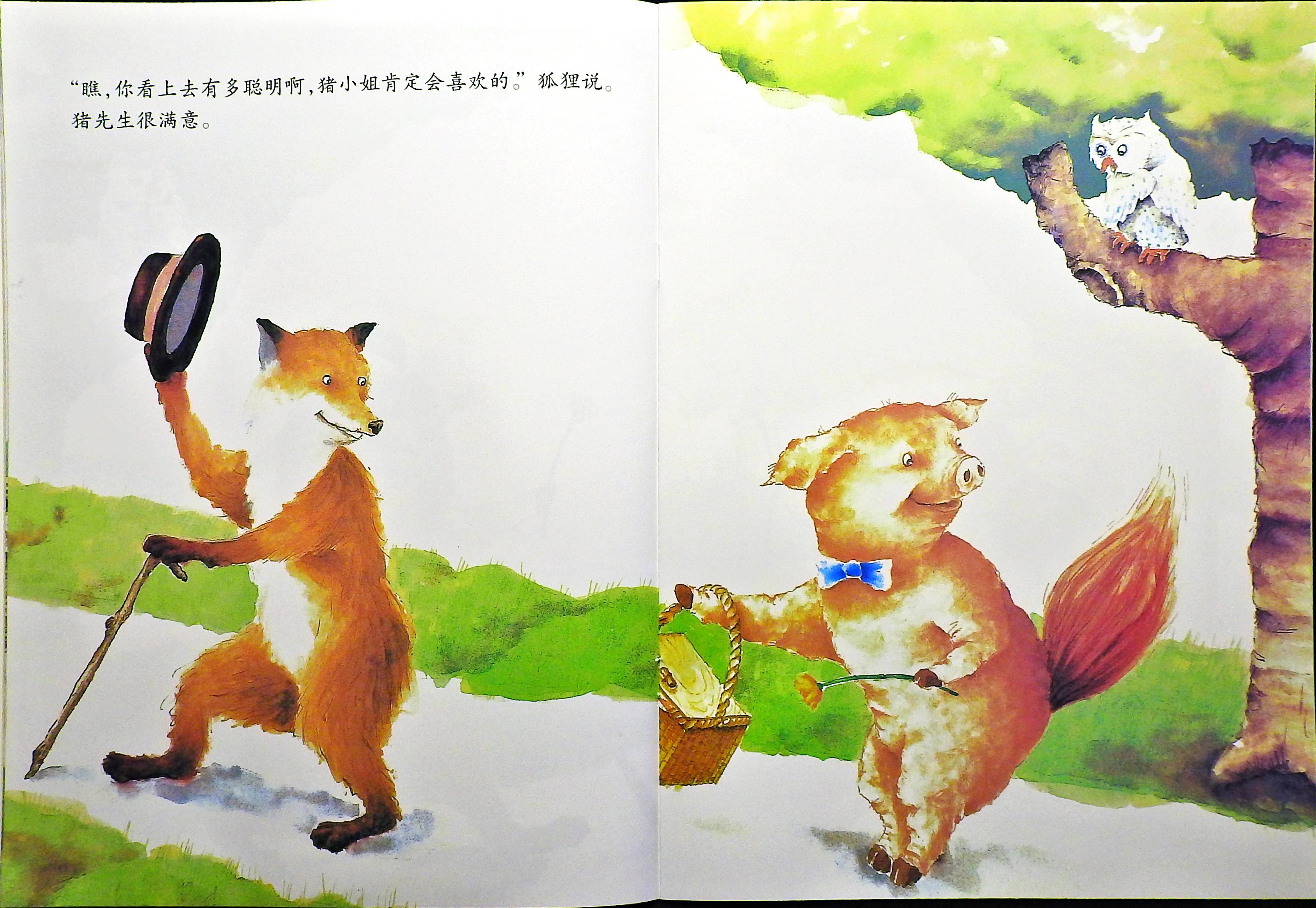 猪先生去野餐 (07),绘本,绘本故事,绘本阅读,故事书,童书,图画书,课外阅读